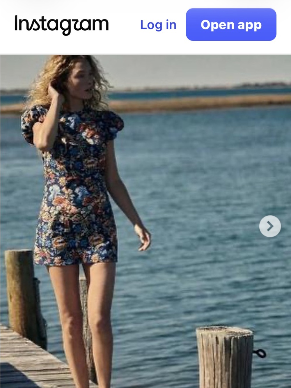 Doen Navy  Lyric Dress.Multicolor Floral Puff-Sleeve Mini Dress
